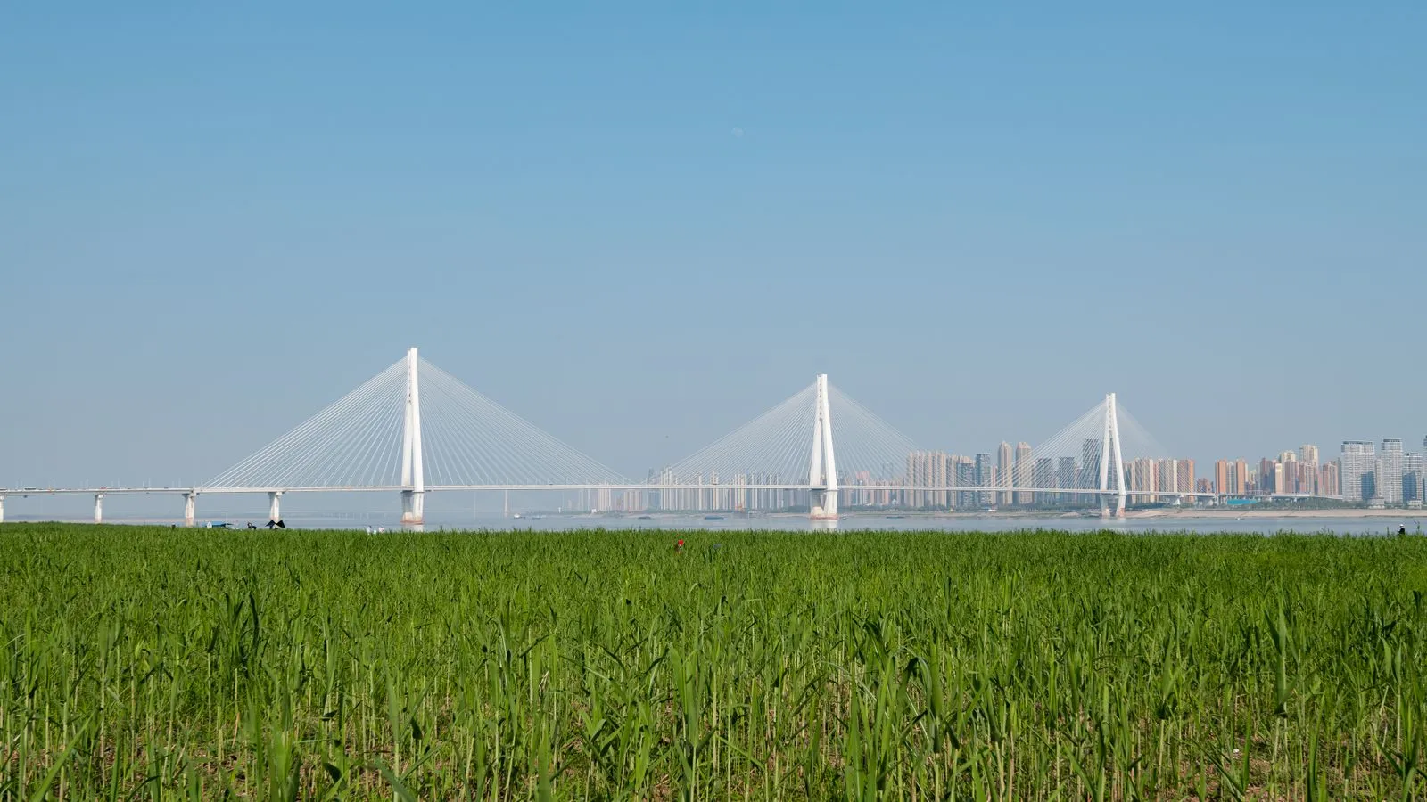 Wuhan skyline